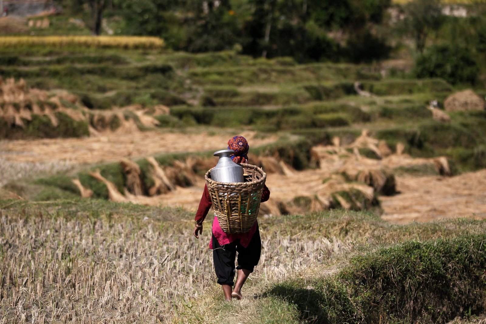 Extension services in action